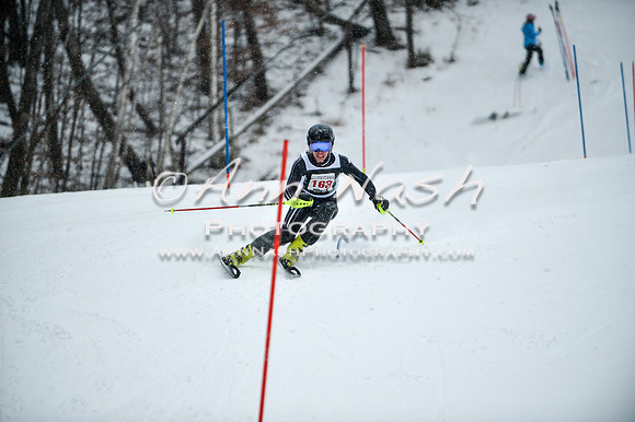2015 December 18 alpine DSC_9048
