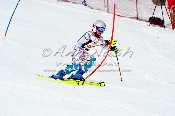 2016 January 22 alpine DSC_1616