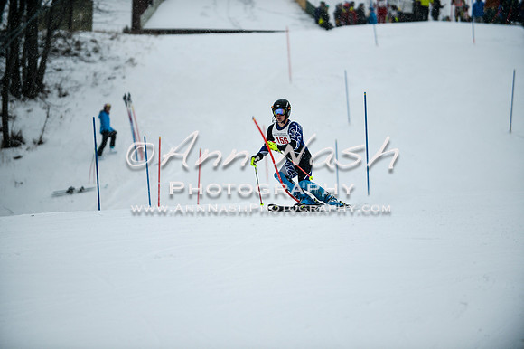 2015 December 18 alpine DSC_8999