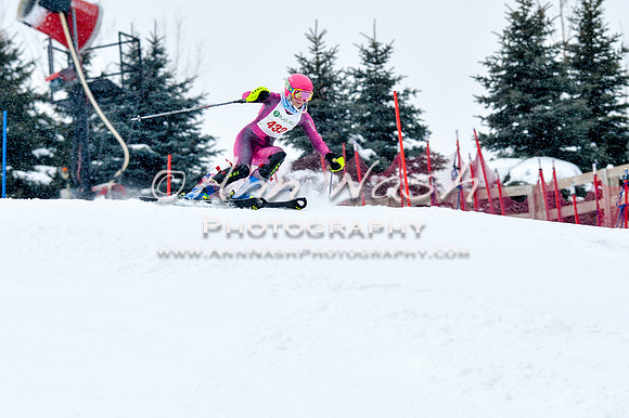 2016 January 22 alpine DSC_0798