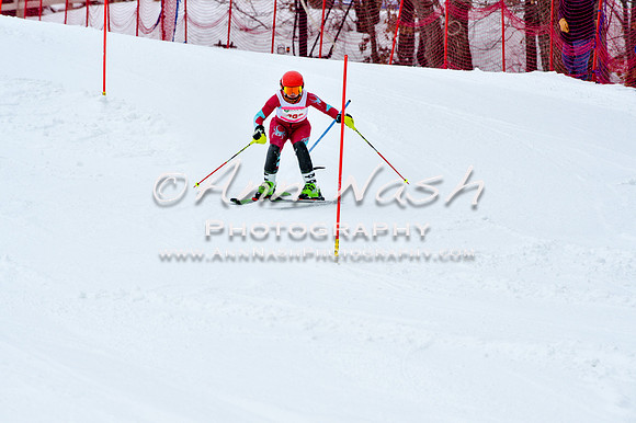 2016 January 22 alpine DSC_0835