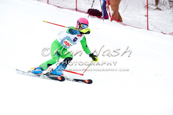 2016 January 22 alpine DSC_1282