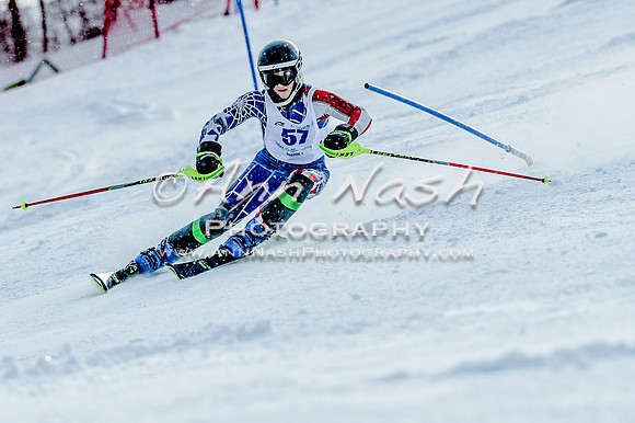 2016 February 14 alpine DSC_7499