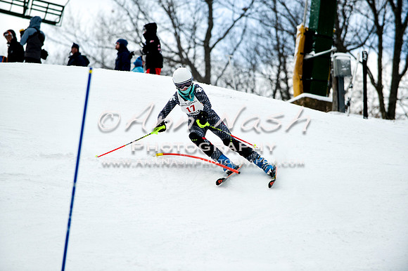 2015 December 18 alpine DSC_9610