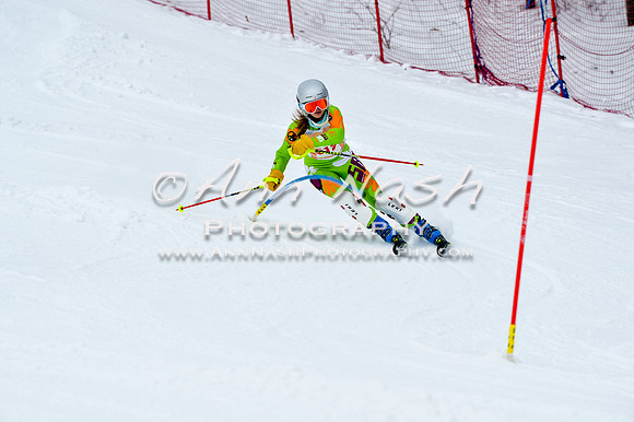 2016 January 22 alpine DSC_0897