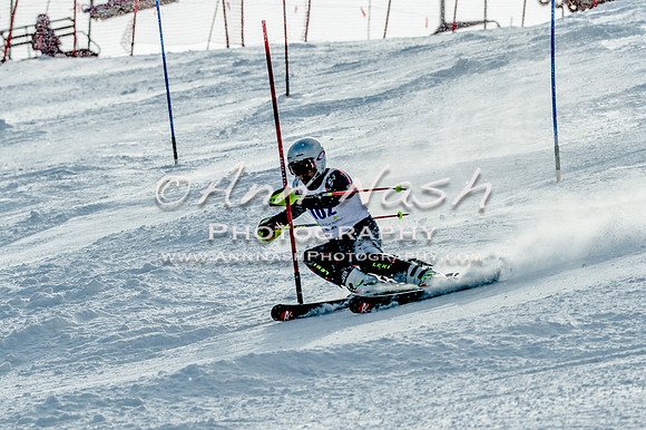 2016 February 14 alpine DSC_7229
