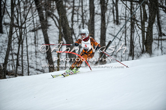 2015 December 18 alpine DSC_8965