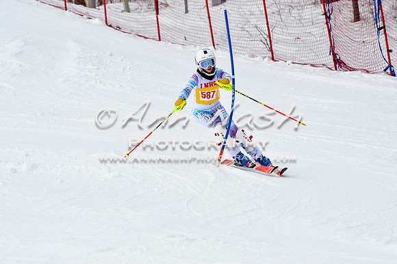 2016 January 22 alpine DSC_1839