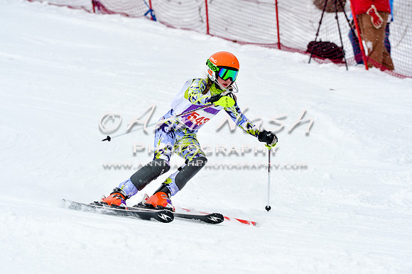 2016 January 22 alpine DSC_1121