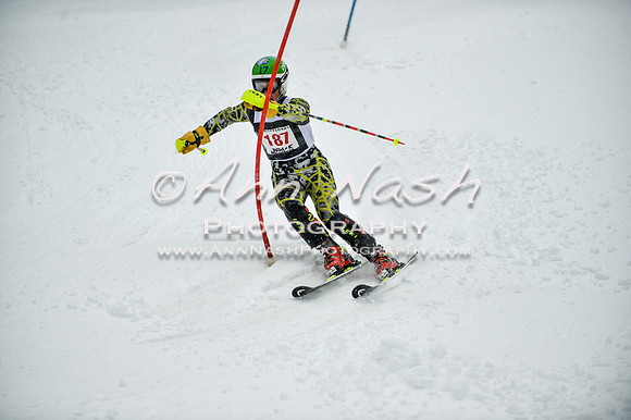 2015 December 18 alpine DSC_9189