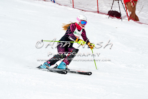2016 January 22 alpine DSC_1684