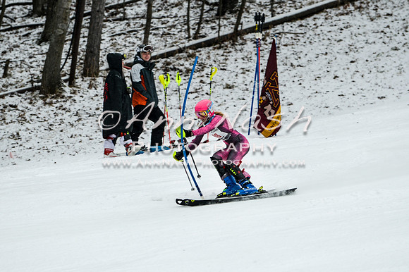 2015 December 18 alpine DSC_9422