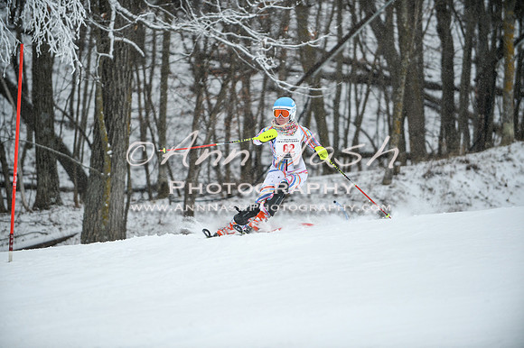 2015 December 18 alpine DSC_9313