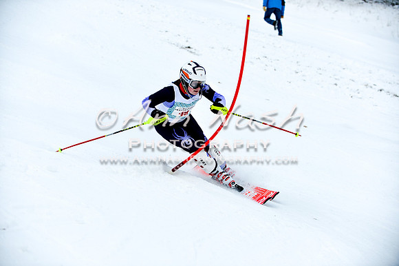 2015 December 18 alpine DSC_9864