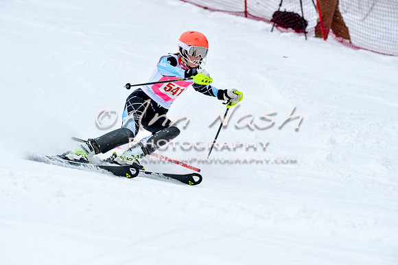 2016 January 22 alpine DSC_0722