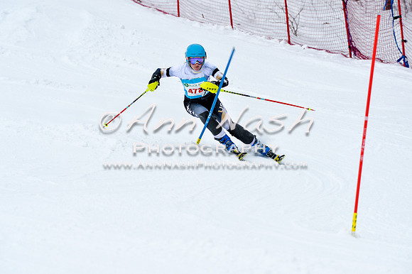 2016 January 22 alpine DSC_0846