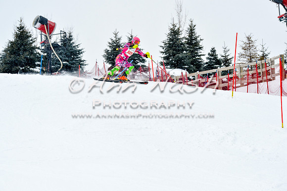 2016 January 22 alpine DSC_1490