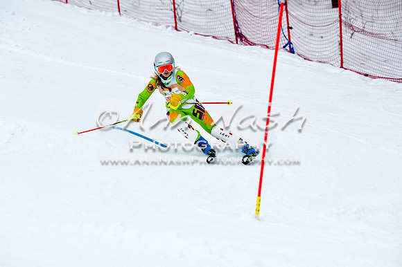 2016 January 22 alpine DSC_0898