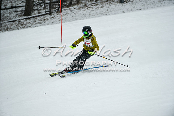 2015 December 18 alpine DSC_9388