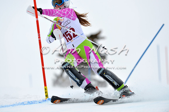 alpine_2015-02-14_12-54-13_DSC_7651_©AnnNashPhotographyLLC_2015
