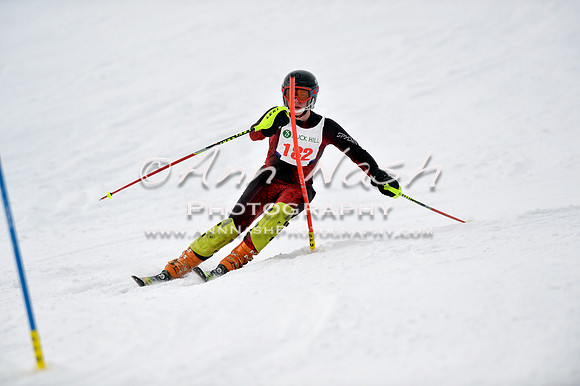 alpine_2015-01-22_11-46-20_DSC_0481_©AnnNashPhotographyLLC_2015