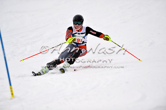 alpine_2015-01-22_11-35-51_DSC_0099_©AnnNashPhotographyLLC_2015