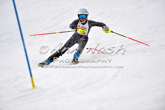 alpine_2015-01-22_11-45-26_DSC_0436_©AnnNashPhotographyLLC_2015