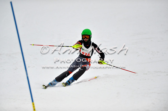 alpine_2015-01-22_12-17-28_DSC_1478_©AnnNashPhotographyLLC_2015