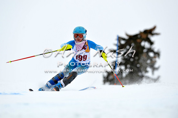alpine_2015-02-14_13-36-37_DSC_8488_©AnnNashPhotographyLLC_2015
