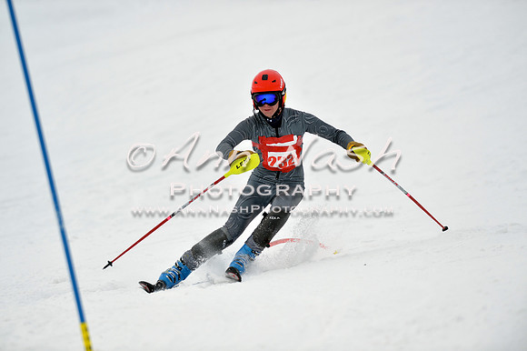 alpine_2015-01-22_11-48-54_DSC_0607_©AnnNashPhotographyLLC_2015