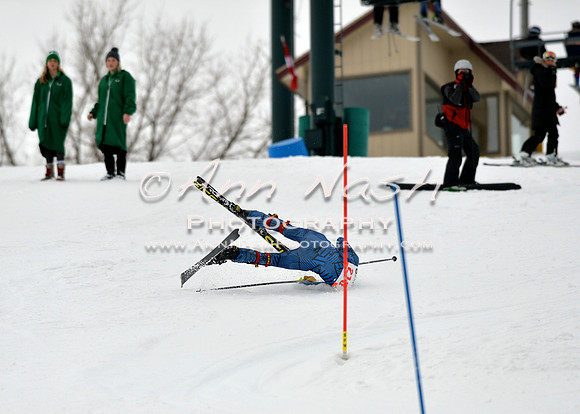 alpine_2015-01-22_12-01-27_DSC_1009_©AnnNashPhotographyLLC_2015