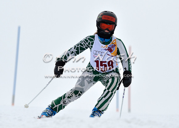 alpine_2015-02-14_12-56-32_DSC_7708_©AnnNashPhotographyLLC_2015