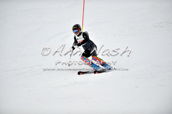 alpine_2015-01-22_12-07-50_DSC_1192_©AnnNashPhotographyLLC_2015