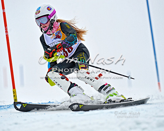 alpine_2015-02-14_13-51-58_DSC_8830_©AnnNashPhotographyLLC_2015