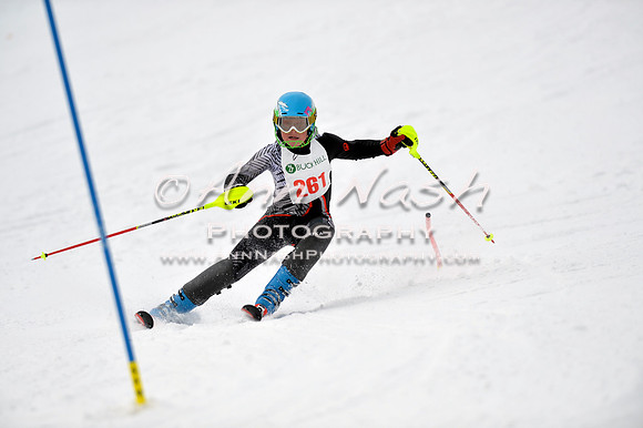 alpine_2015-01-22_11-40-19_DSC_0237_©AnnNashPhotographyLLC_2015