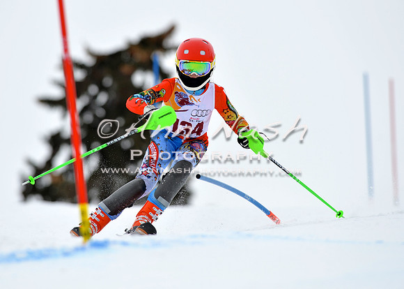 alpine_2015-02-14_12-57-16_DSC_7725_©AnnNashPhotographyLLC_2015