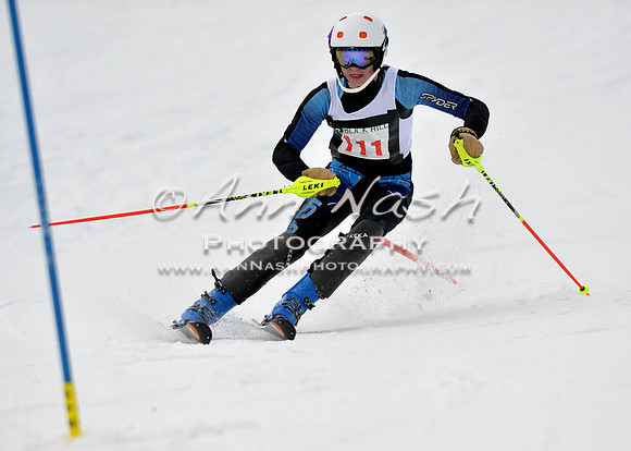 alpine_2015-01-22_11-31-41_DSC_9908_©AnnNashPhotographyLLC_2015
