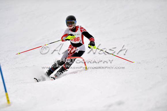 alpine_2015-01-22_12-45-16_DSC_2253_©AnnNashPhotographyLLC_2015