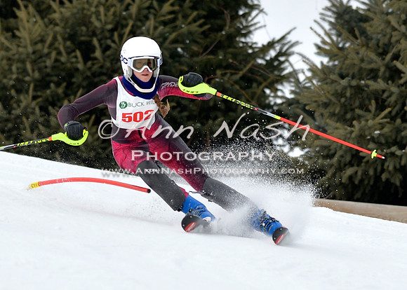 alpine_2015-01-22_11-48-32_DSC_0591_©AnnNashPhotographyLLC_2015