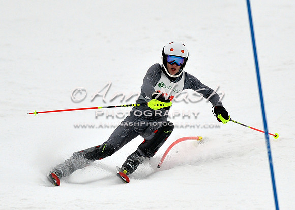 alpine_2015-01-22_12-18-39_DSC_1508_©AnnNashPhotographyLLC_2015