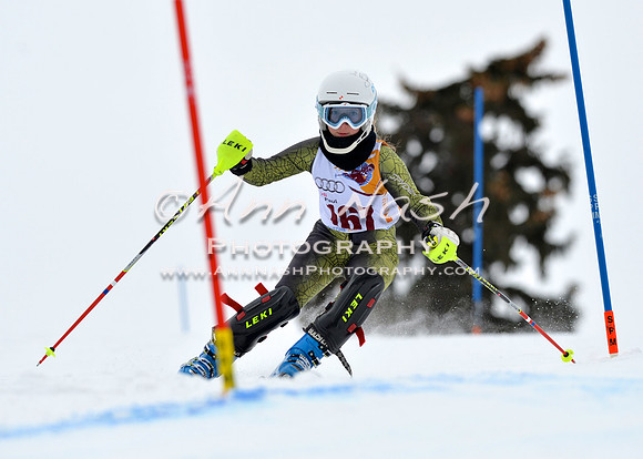 alpine_2015-02-14_12-52-44_DSC_7626_©AnnNashPhotographyLLC_2015