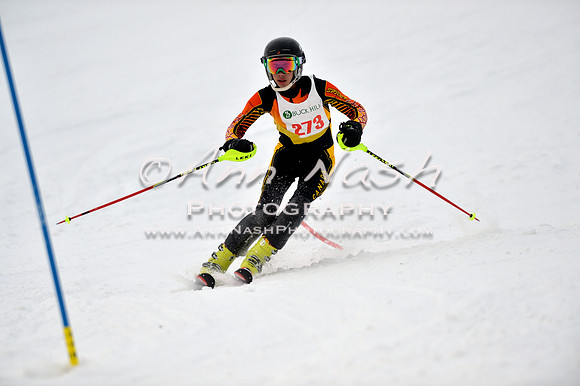 alpine_2015-01-22_12-05-11_DSC_1126_©AnnNashPhotographyLLC_2015