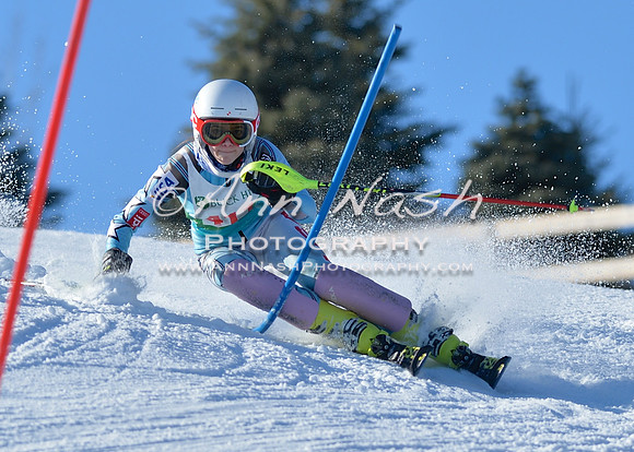 alpine_2015-01-22_14-48-33_DSC_3423_©AnnNashPhotographyLLC_2015