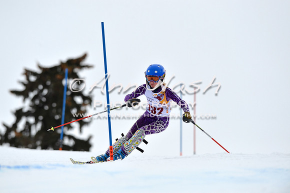 alpine_2015-02-14_12-54-44_DSC_7658_©AnnNashPhotographyLLC_2015