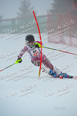 alpine-Jan20-2017-DSC_2666