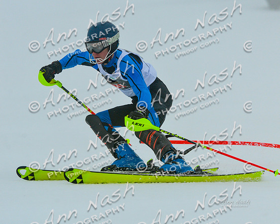 alpine-Jan20-2017-DSC_2674