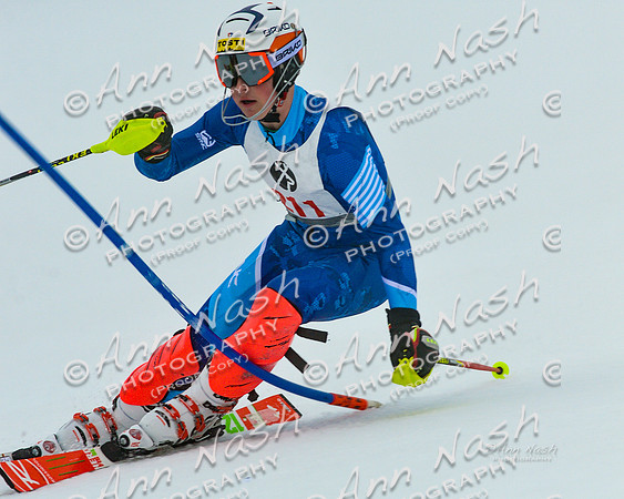 alpine-Jan20-2017-DSC_2720