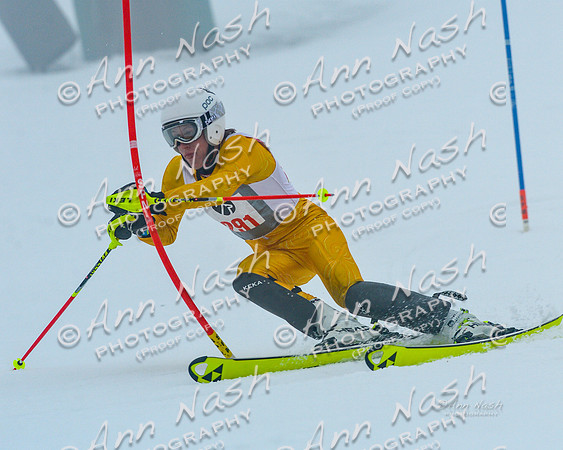 alpine-Jan20-2017-DSC_2810