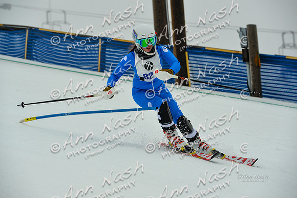 alpine-Jan20-2017-DSC_2895