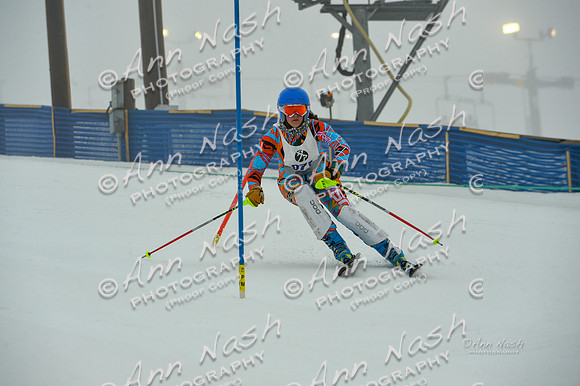 alpine-Jan20-2017-DSC_2924